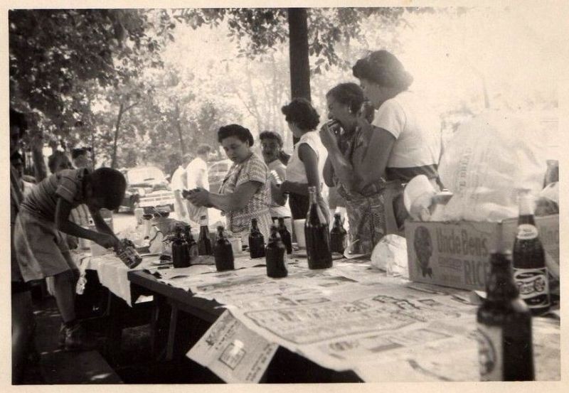 Picnic People Old Photos 