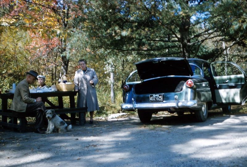 Picnic People Old Photos 