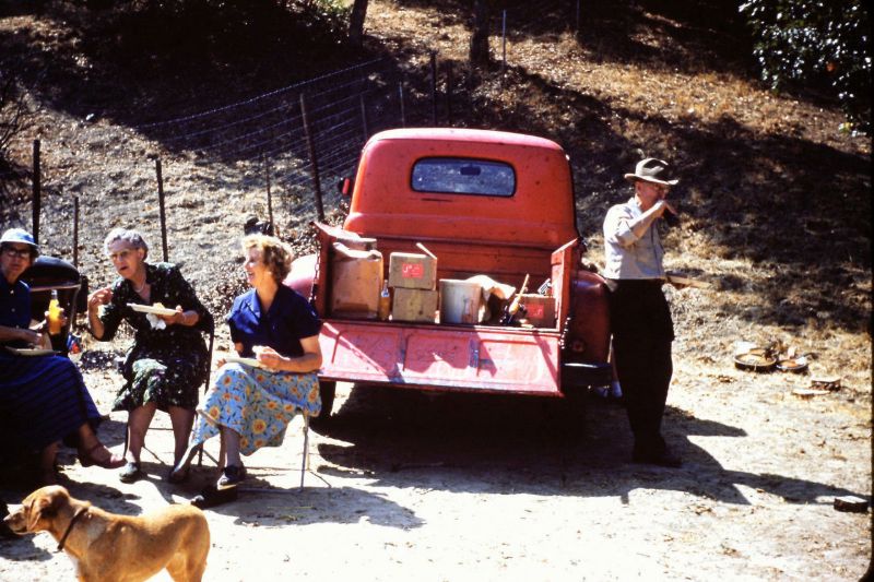 Picnic People Old Photos 