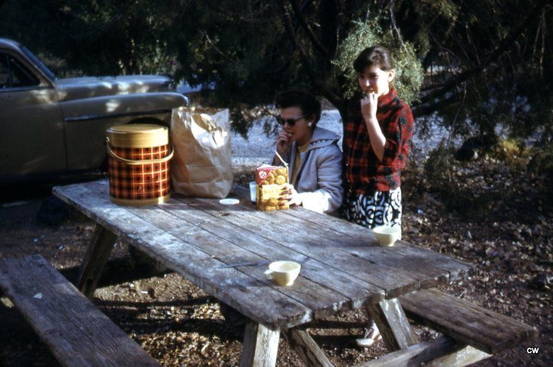 Picnic People Old Photos 