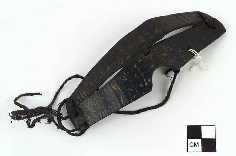 Inuit Snow Goggles