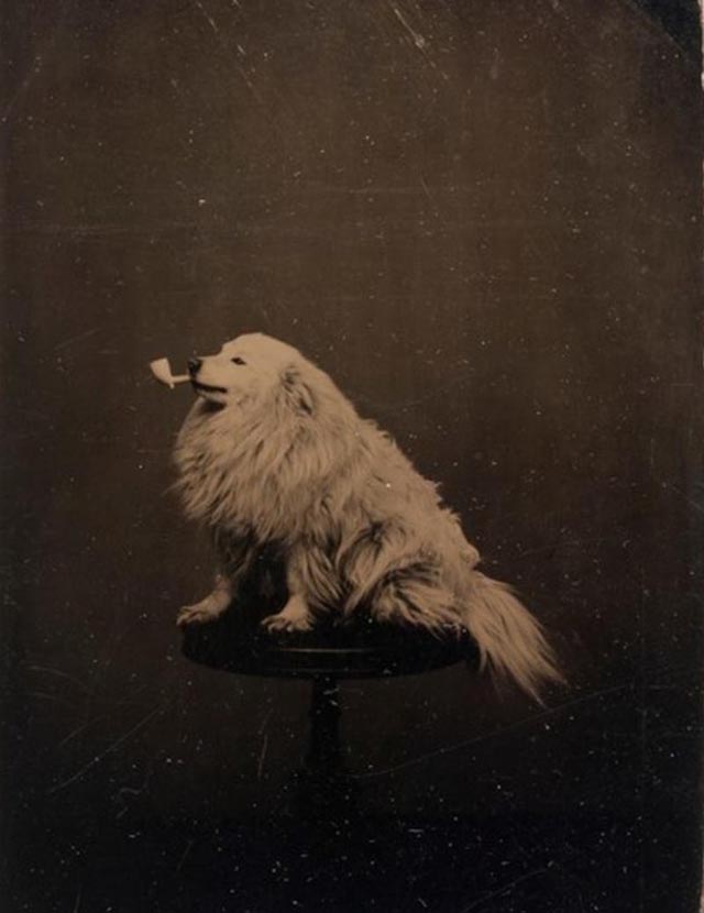 Weird Photos from the past
