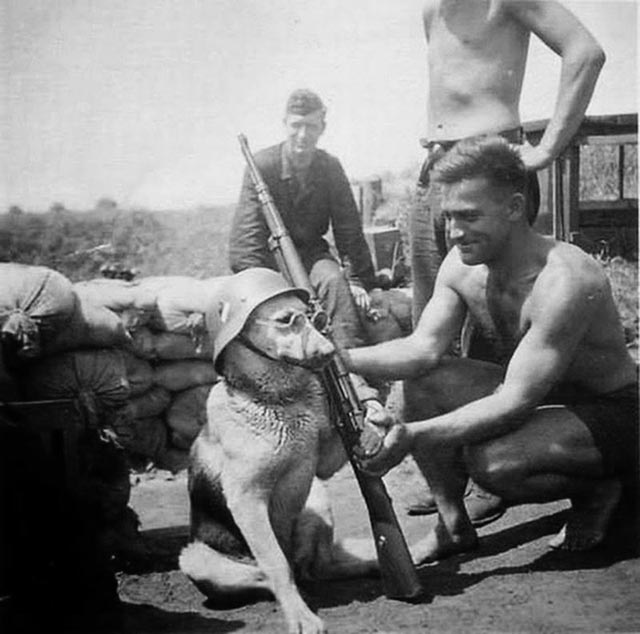 Weird Photos from the past