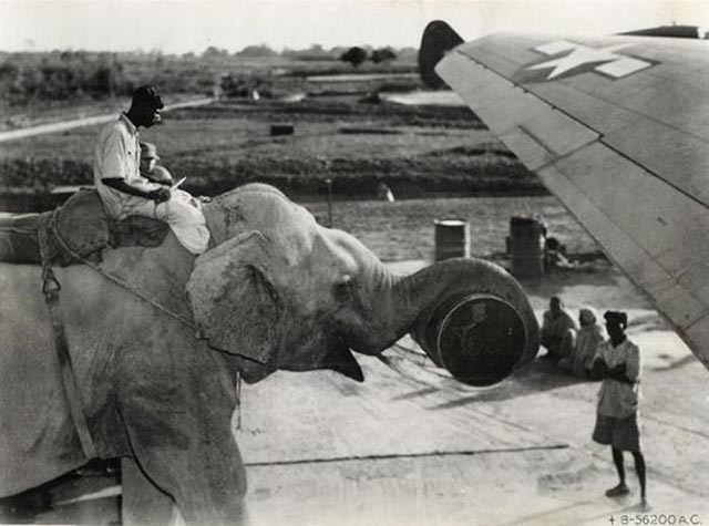 Weird Photos from the past