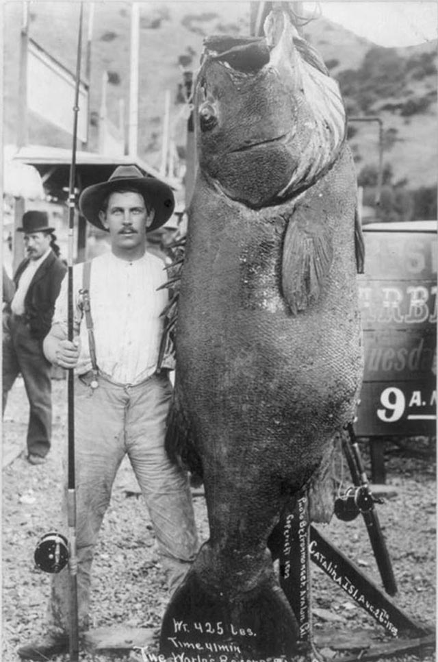 Weird Photos from the past