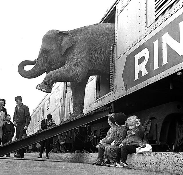 Weird Photos from the past