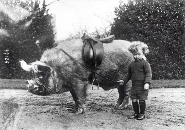 Weird Photos from the past