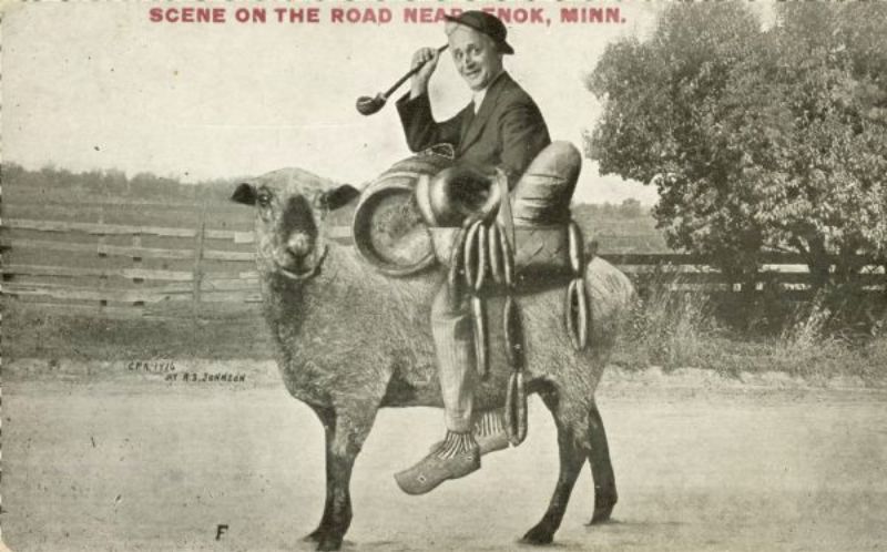 Vintage Photos Exaggeration Postcards
