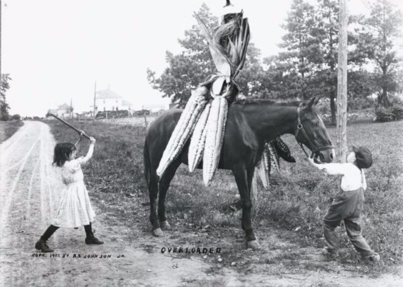 Vintage Photos Exaggeration Postcards