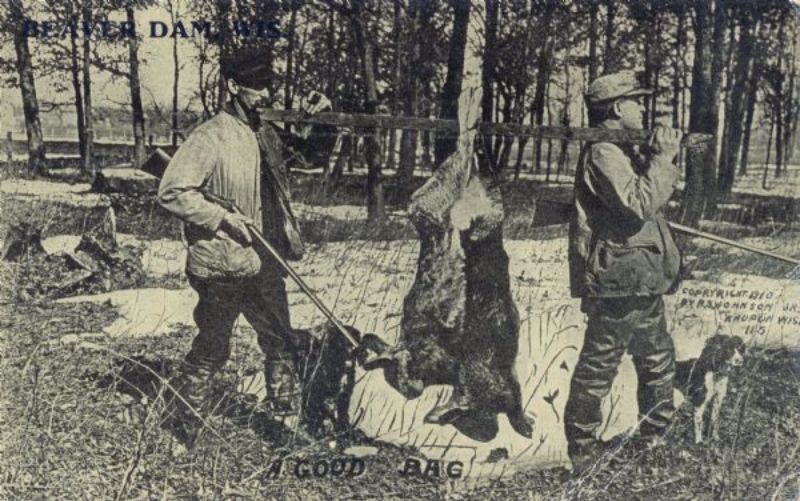 Vintage Photos Exaggeration Postcards