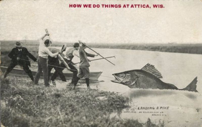 Vintage Photos Exaggeration Postcards