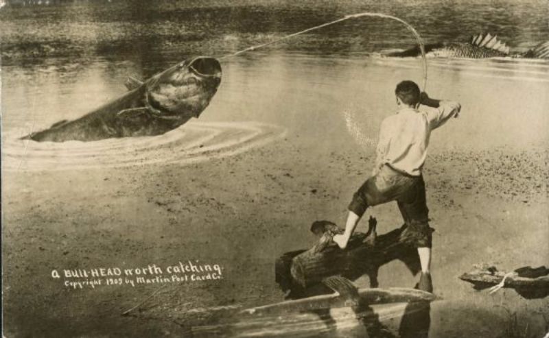 Vintage Photos Exaggeration Postcards