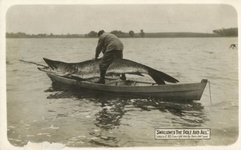 Vintage Photos Exaggeration Postcards