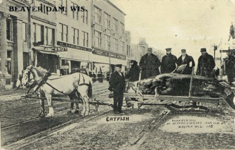 Vintage Photos Exaggeration Postcards
