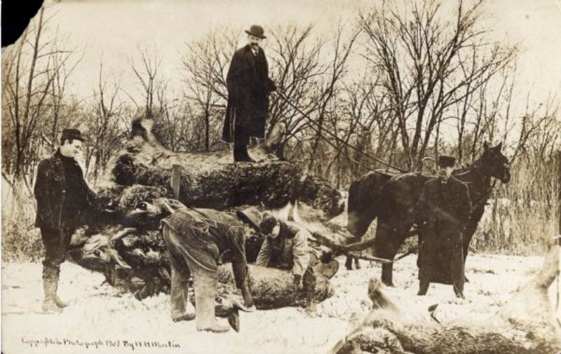 Vintage Photos Exaggeration Postcards