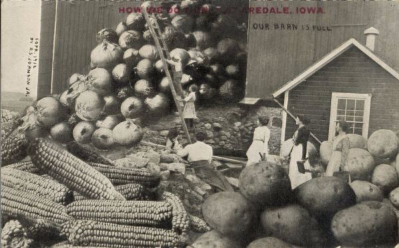 Vintage Photos Exaggeration Postcards