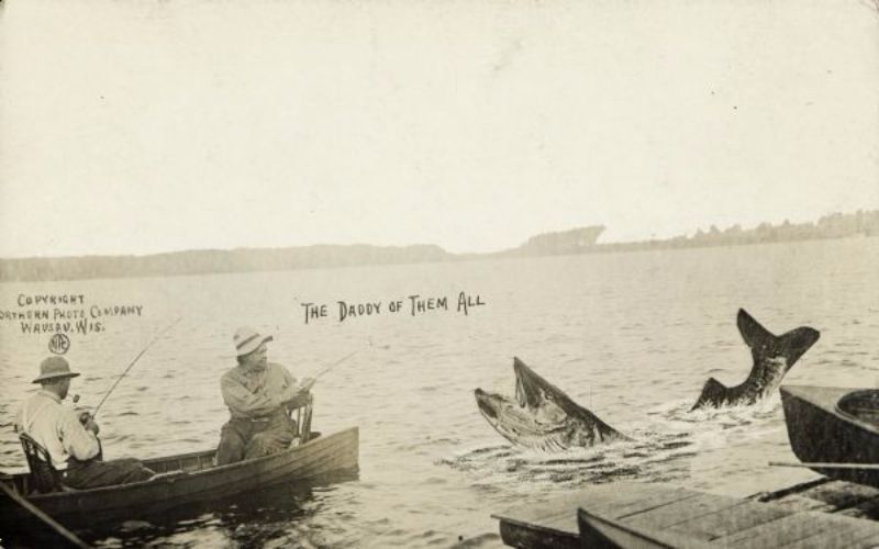 Vintage Photos Exaggeration Postcards