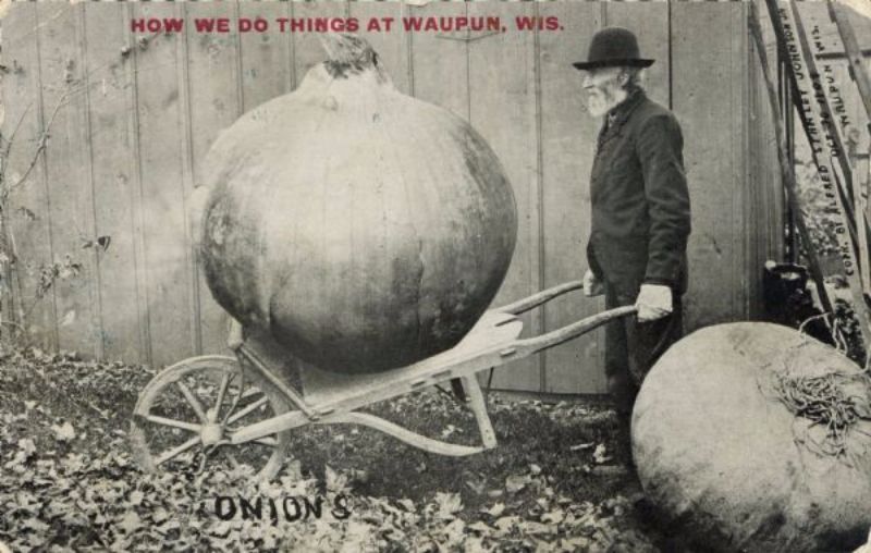 Vintage Photos Exaggeration Postcards
