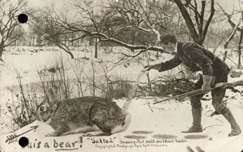 Vintage Photos Exaggeration Postcards