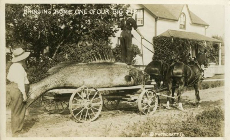 Vintage Photos Exaggeration Postcards