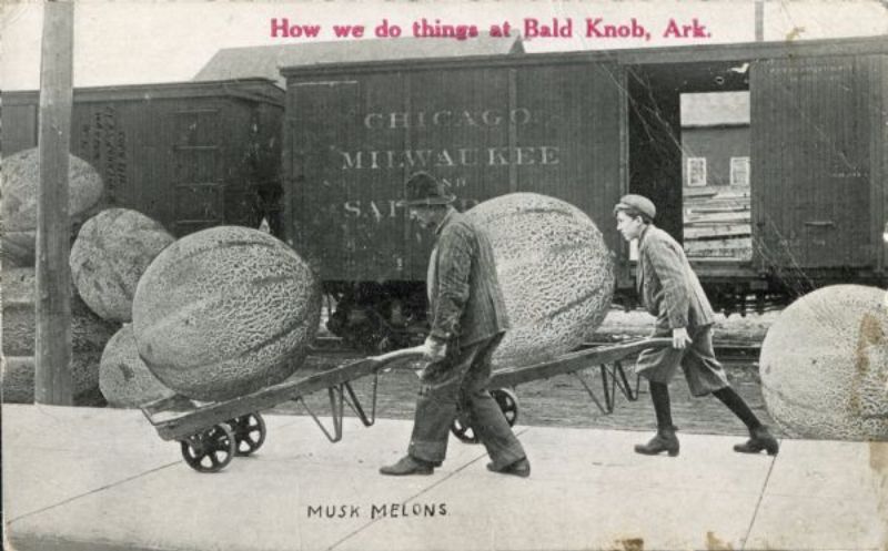Vintage Photos Exaggeration Postcards