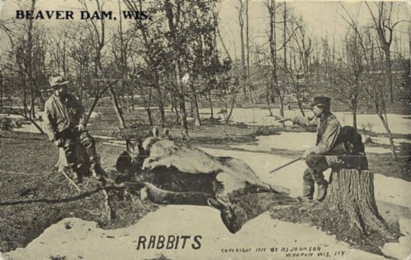 Vintage Photos Exaggeration Postcards