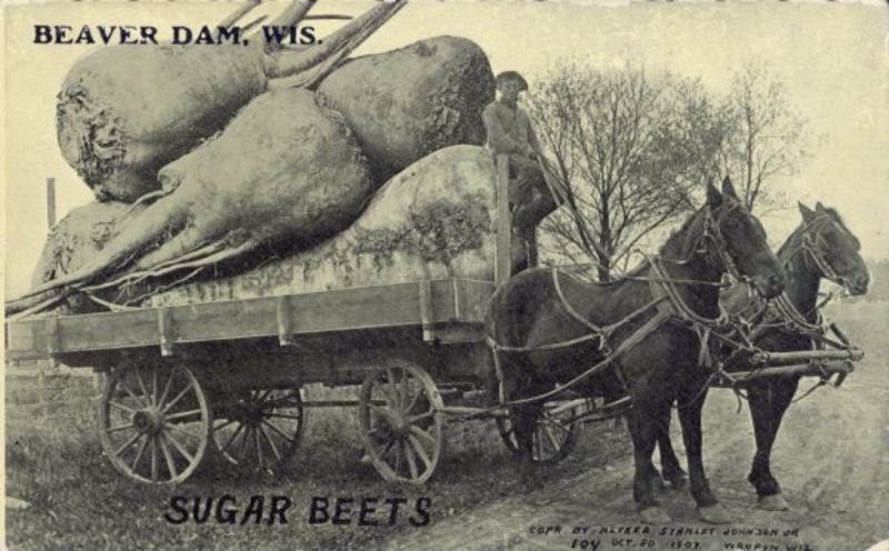 Vintage Photos Exaggeration Postcards