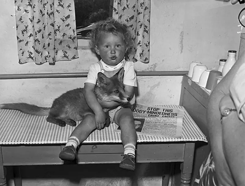 Old Photos of Animals and People from Bygone Times