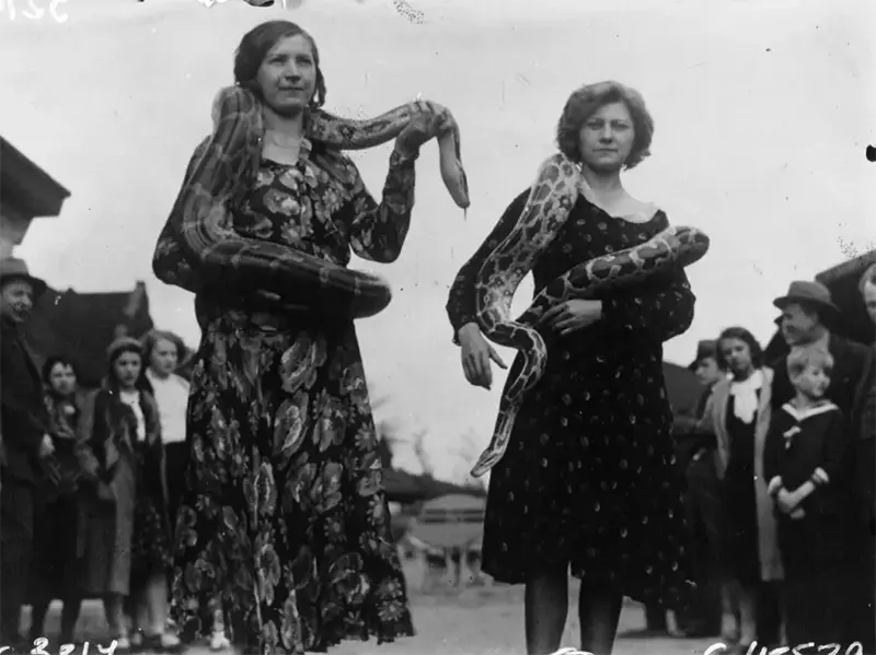 Old Photos of Animals and People from Bygone Times