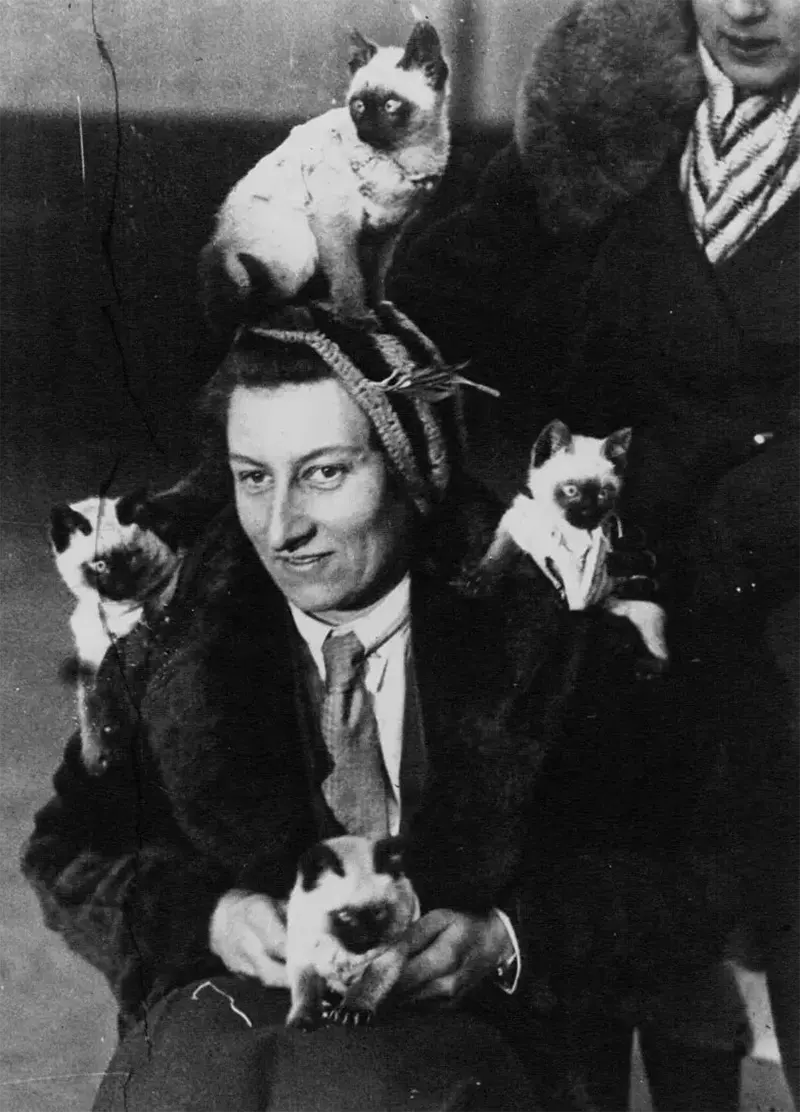Old Photos of Animals and People from Bygone Times