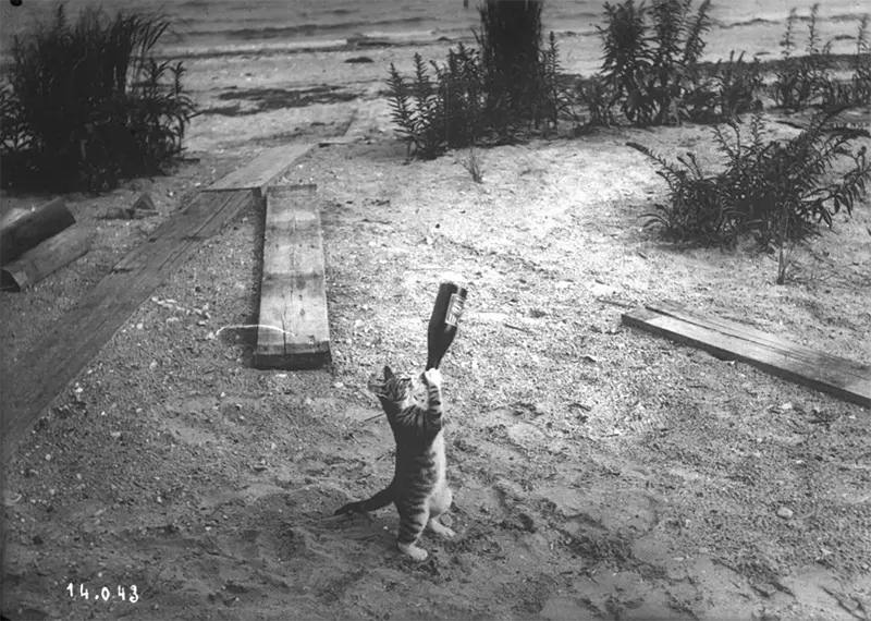 Old Photos of Animals and People from Bygone Times