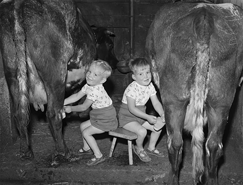 Old Photos of Animals and People from Bygone Times