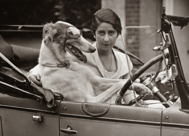 Old Photos of Animals and People from Bygone Times