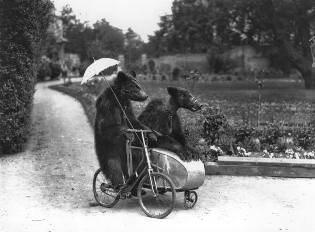 Old Photos of Animals and People from Bygone Times