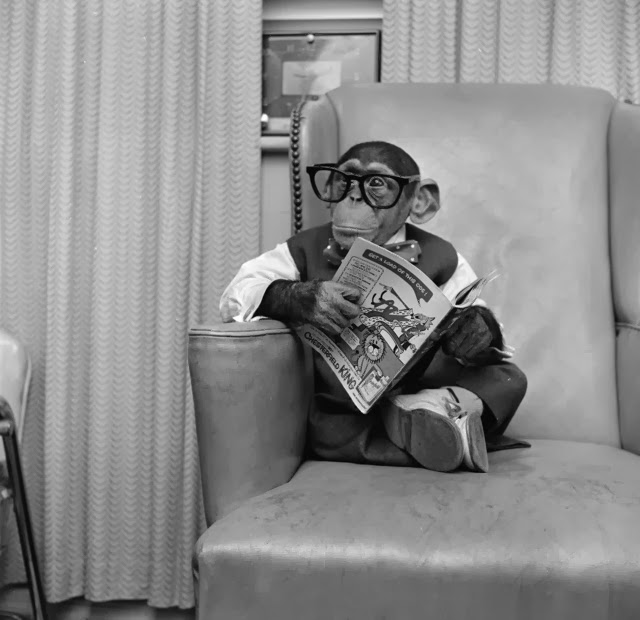 Old Photos of Animals and People from Bygone Times