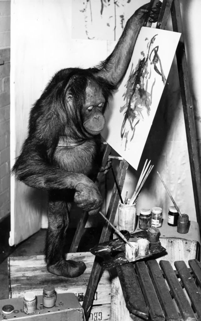 Old Photos of Animals and People from Bygone Times