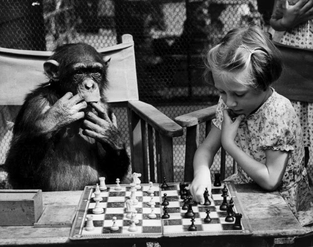 Old Photos of Animals and People from Bygone Times