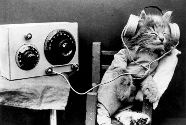 Old Photos of Animals and People from Bygone Times