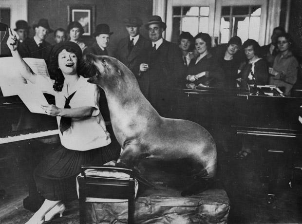 Old Photos of Animals and People from Bygone Times