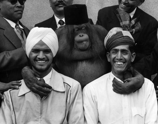Old Photos of Animals and People from Bygone Times