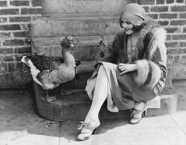 Old Photos of Animals and People from Bygone Times