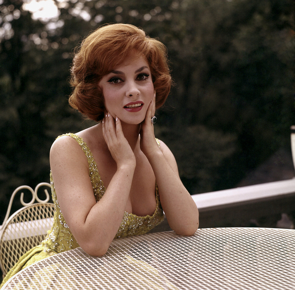 Young Gina Lollobrigida Photos