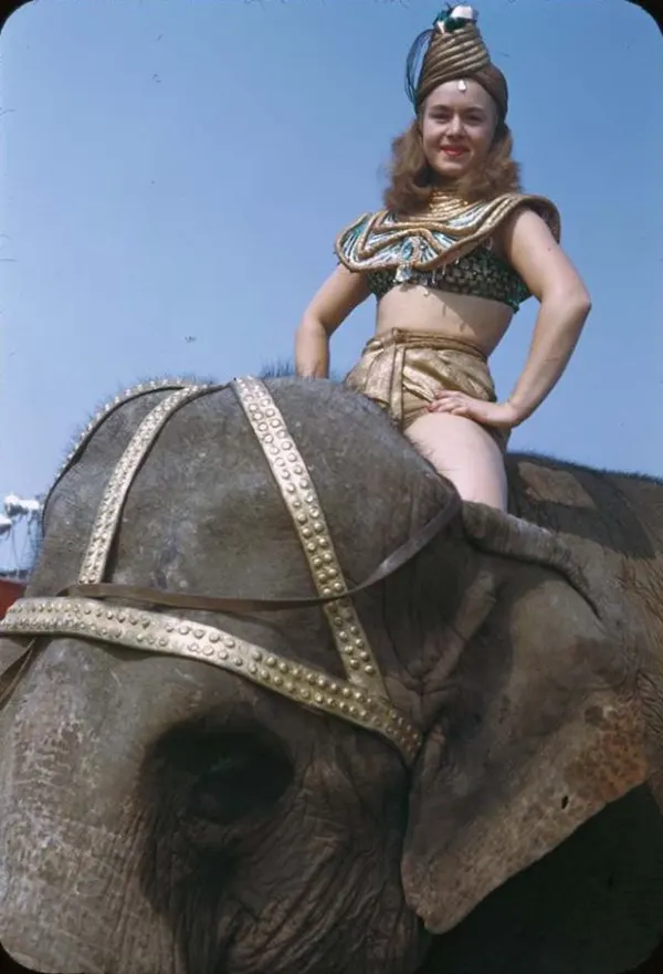 Ringling Bros. and Barnum & Bailey Circus Old Photos
