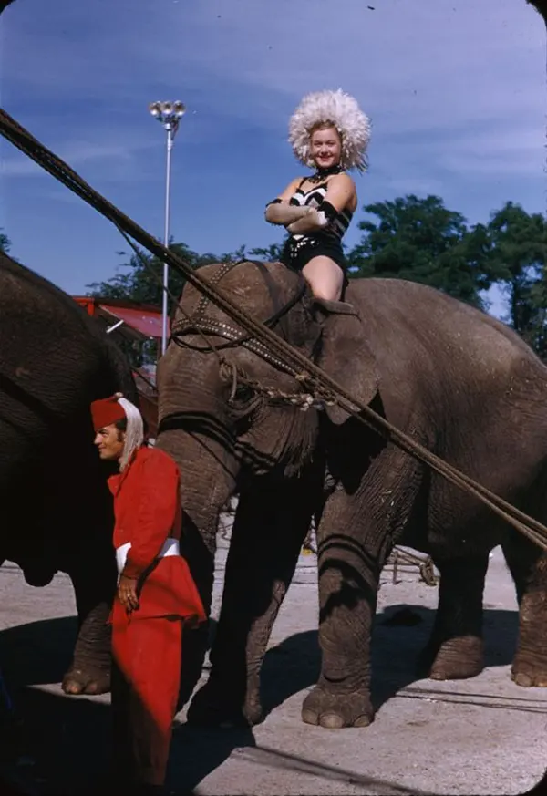 Ringling Bros. and Barnum & Bailey Circus Old Photos