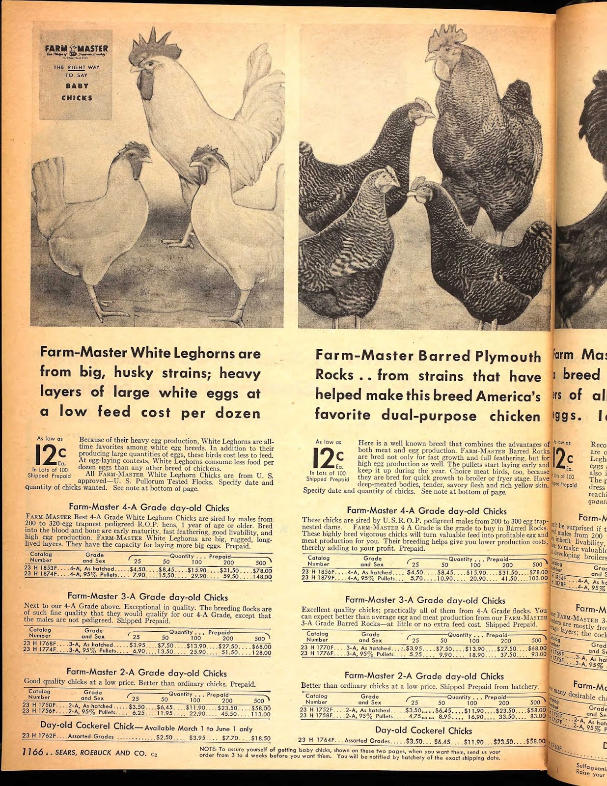 Bizarre and Unbelievable Items Sold by Sears