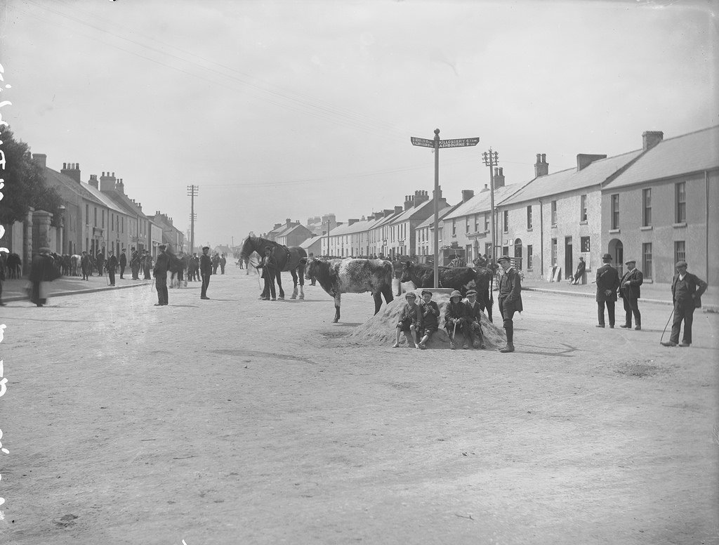Dublin Old Photos 19th and early 20th century
