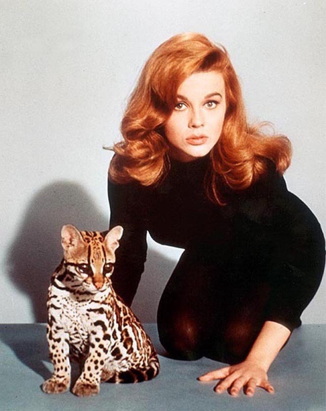 Ann-Margret Vintage Photos