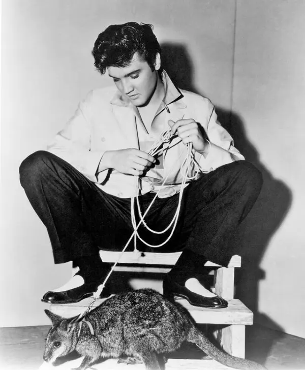 Elvis Presley Old Photos