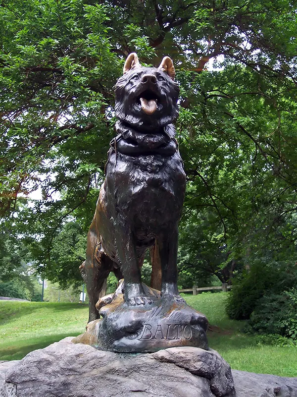 Balto: The Legendary Dog Hero Who Rescued a Whole Town