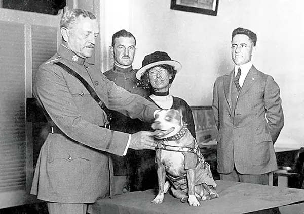 Sergeant Stubby: The World War I Canine Hero Who Became a Legend